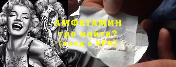 гашик Каменка