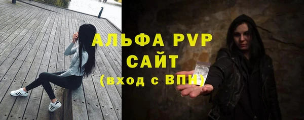 гашик Каменка