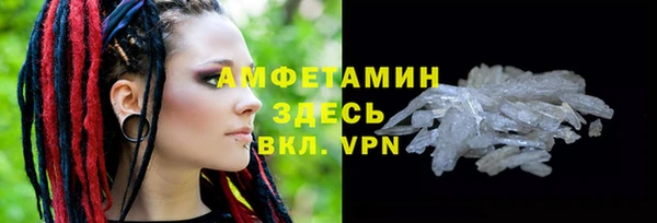 гашик Каменка