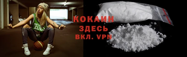 гашик Каменка