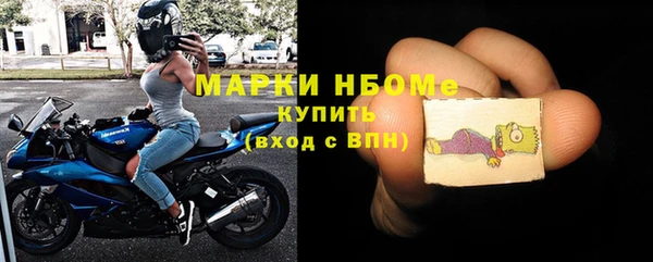 гашик Каменка