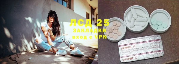 гашик Каменка