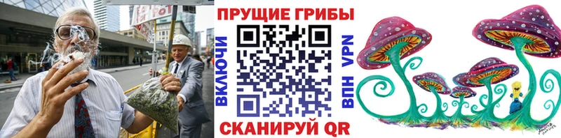 Псилоцибиновые грибы Psilocybe  Купить где  Нытва 